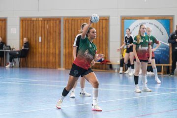 Bild 303 - wBJ HSG Kremperheide/Muensterdorf - HSG Joerl-Doppeleiche Vioel : Ergebnis: 34:23